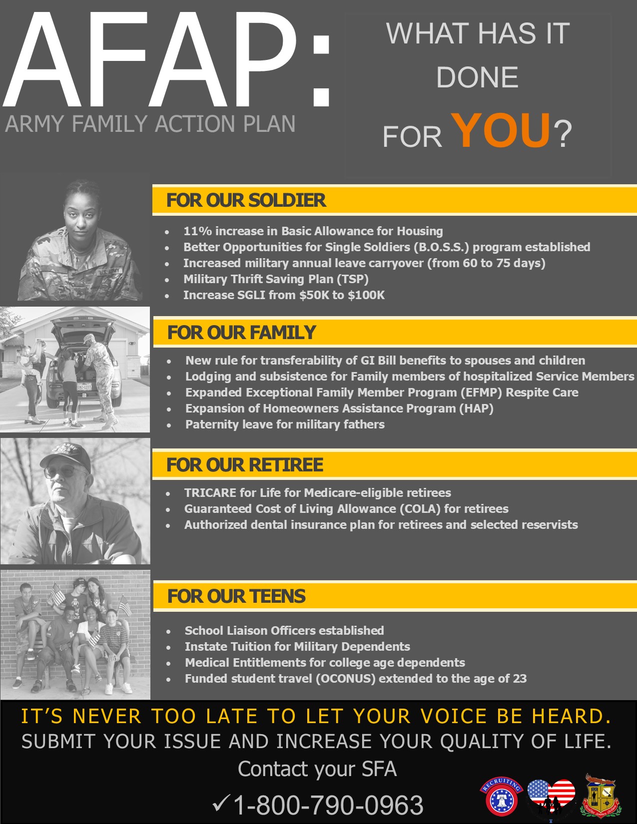 The Army Family Action Plan